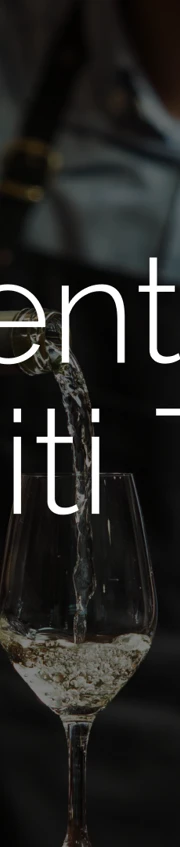 Alentejo Viti Tours Branding & Web 1